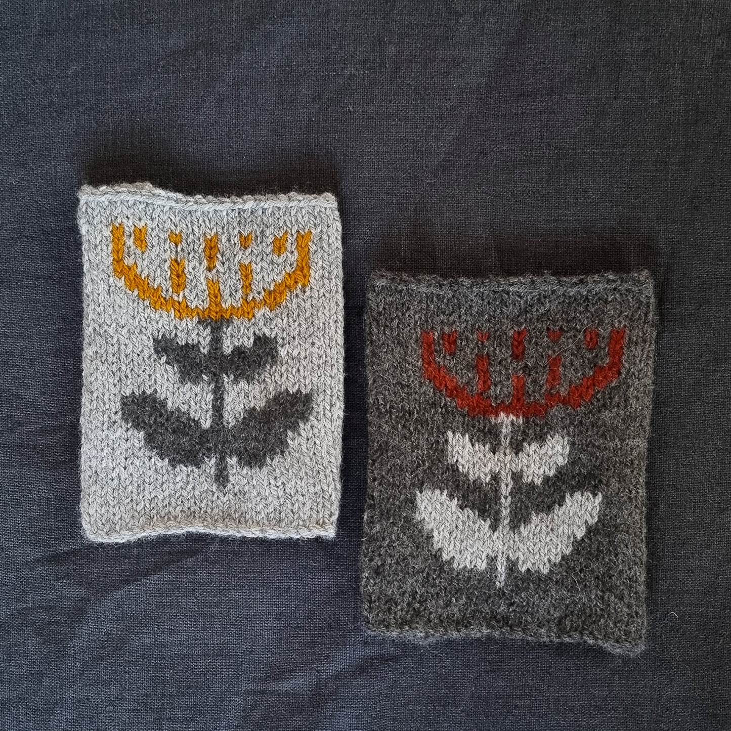 polina pullover yarn kit